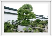 Suzhou