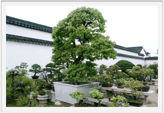 Suzhou