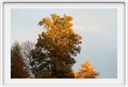 Weiter/Next