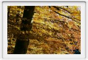 Weiter/Next