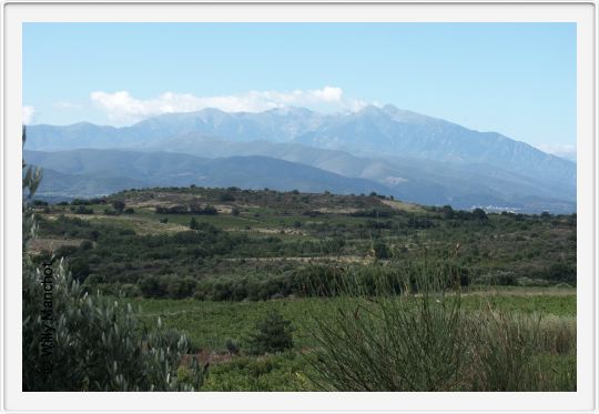 Canigou