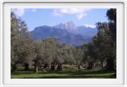 Von Port Soller nach Soller
