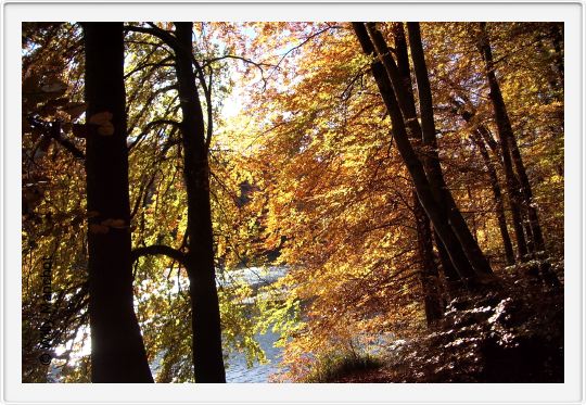 Isar bei Buchenhain