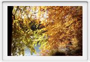 Isar bei Buchenhain
