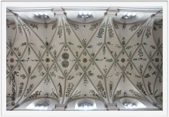 Bamberg