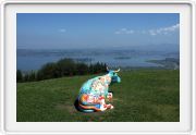 Blick vom Luergeten auf Zürichsee