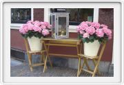Haarlem